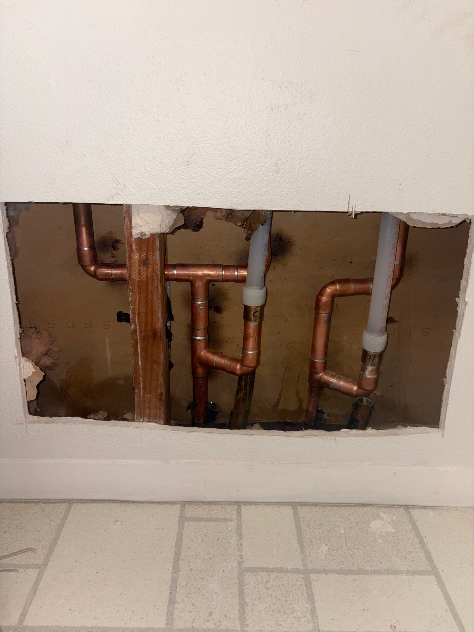manifold rebuild